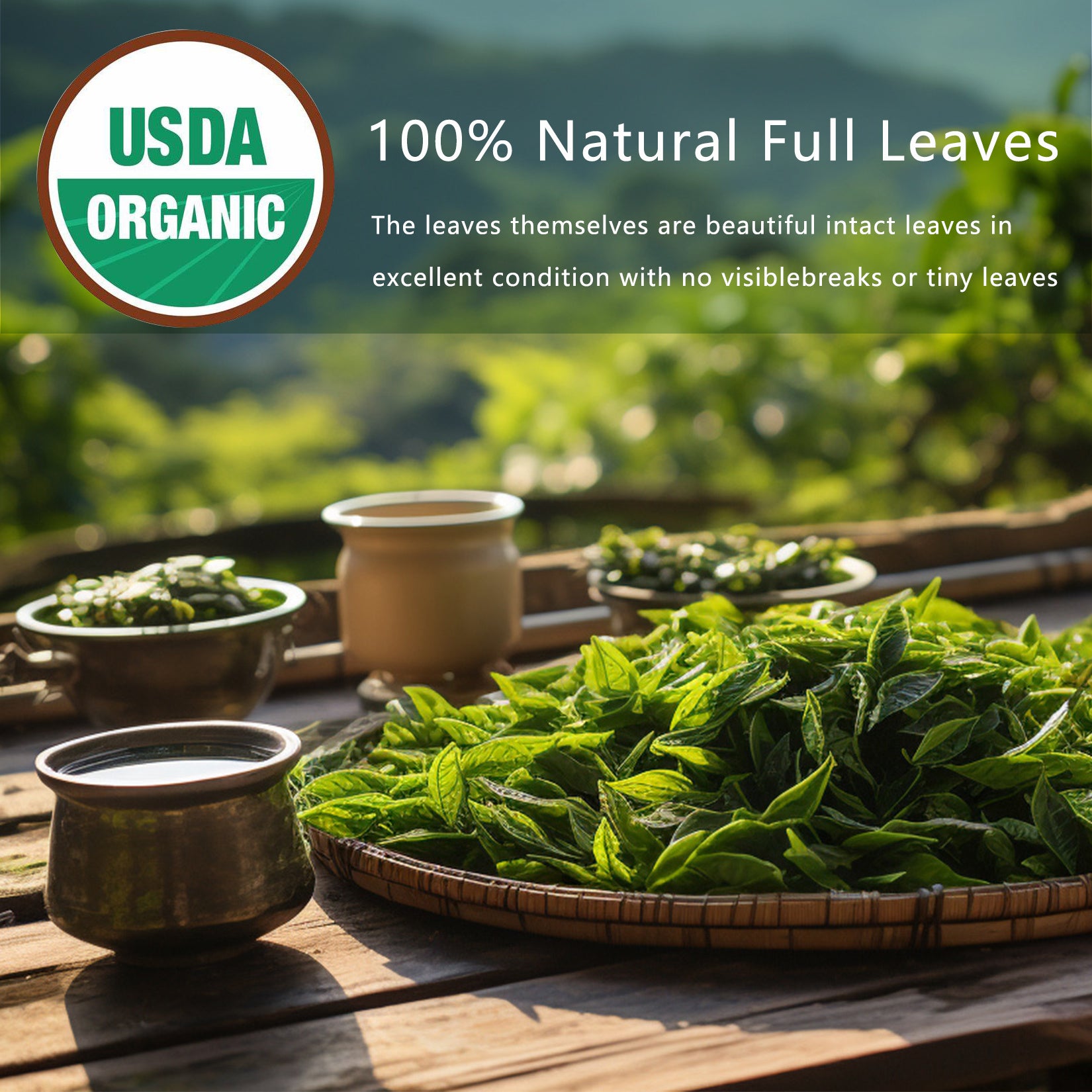 Detox Cleanse Tea – Natural Oolong Leaf Herbal Tea Bags for Lung & Gut Health, Immune Boost, Caffeine-Free, Non-GMO, Organic (30 Tea Bags)